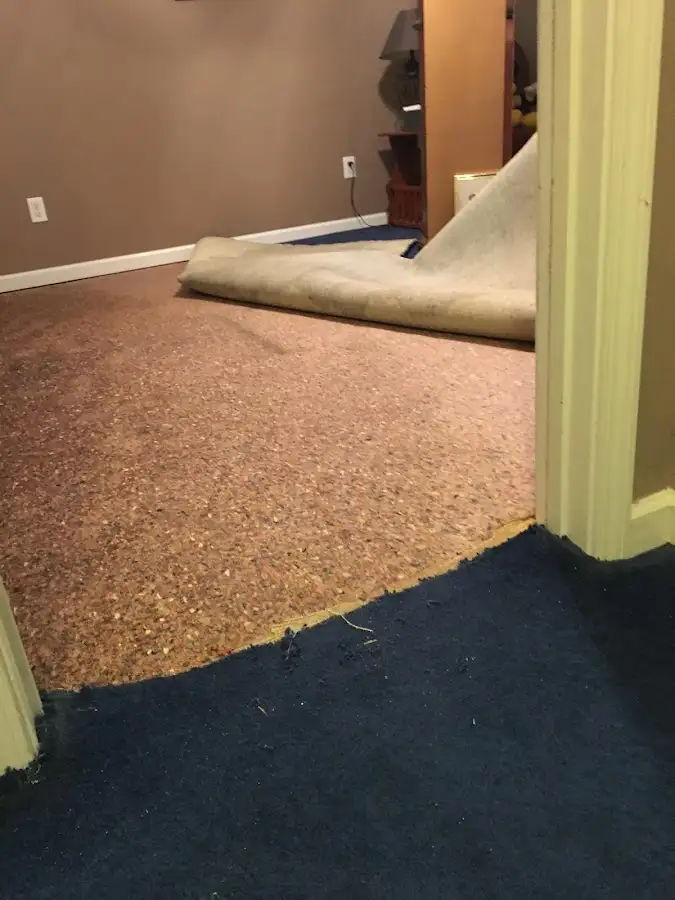 Carpet pad removal revealing water damage during Water Mitigation Services in Inverness Highlands South