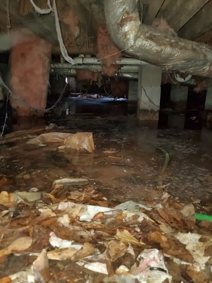 Crawl space flood assessment for Commercial Water Damage Restoration in Inverness Highlands South